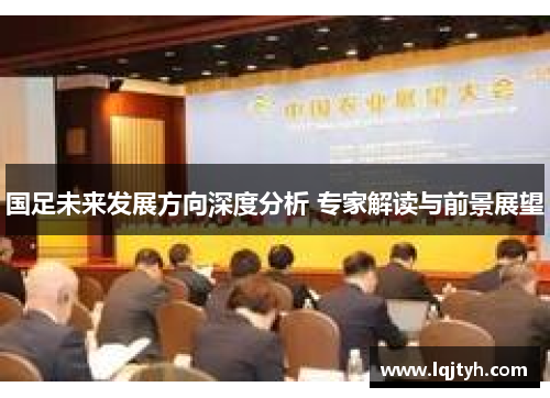 国足未来发展方向深度分析 专家解读与前景展望